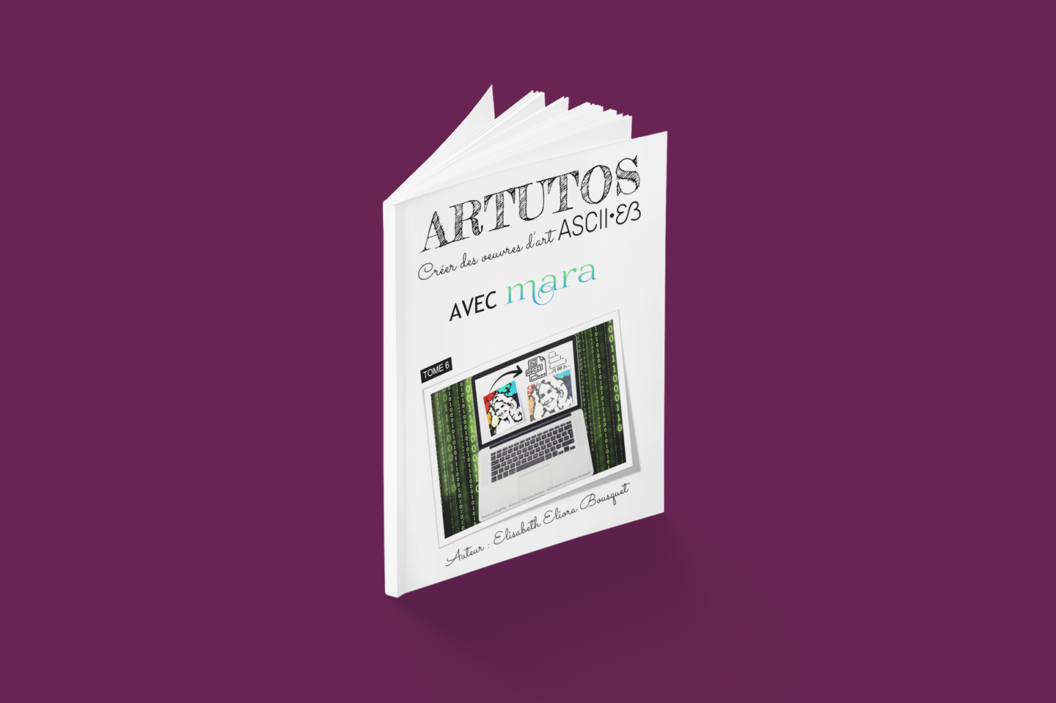 Livre Créer des oeuvres d'art ASCII avec Mara d'E. Bousquet ouvert 8 (c)