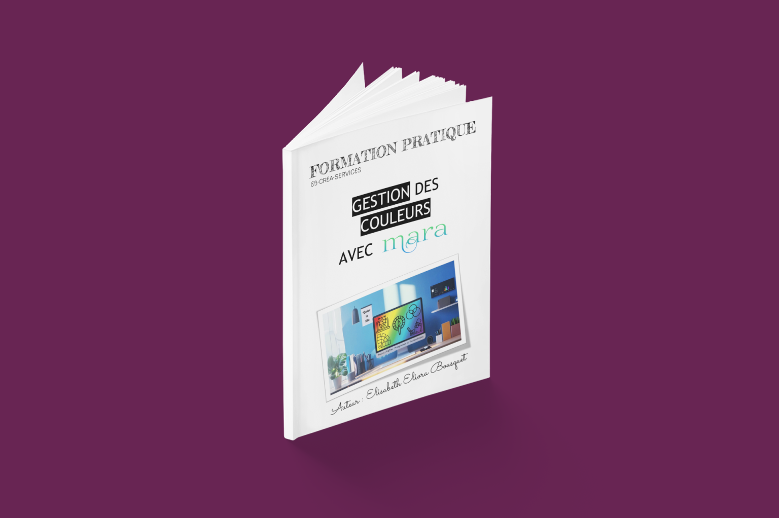 Livre Gestion des couleurs avec MARA d'E. Bousquet (c) PlaceIt4 Livre Gestion des couleurs avec MARA d'E. Bousquet (c) PlaceIt4