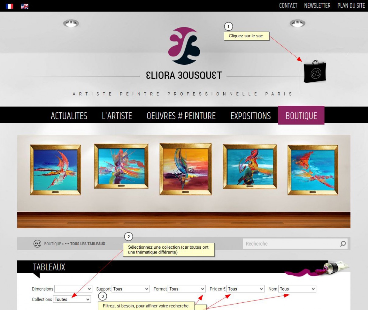 Visuel expliquant comment voir toutes les peintures d'Eliora Bousquet et filtrer les collections