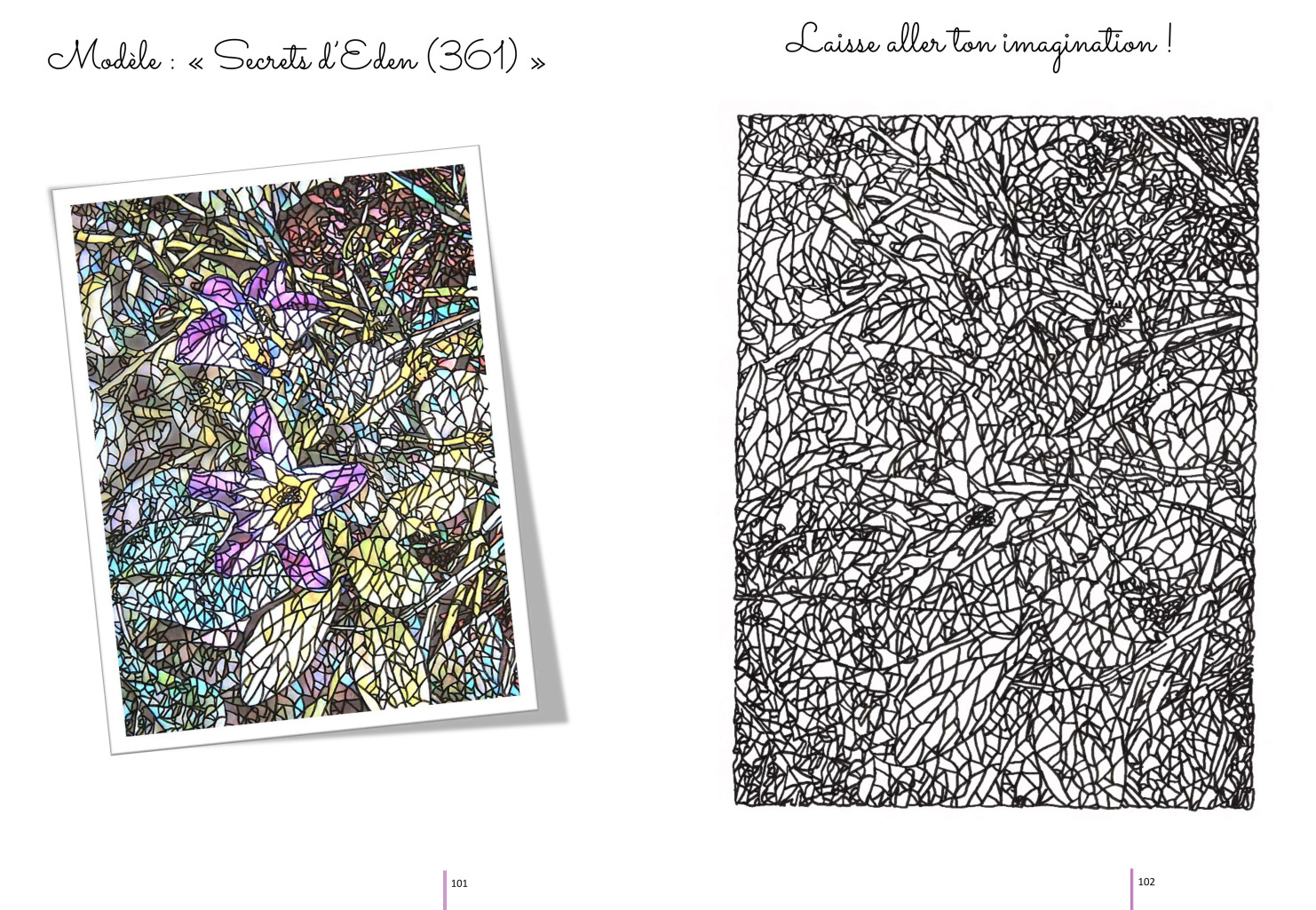 Intérieur de l'album de coloriages Secrets d'Eden Tome 1 d'Eliora Bousquet
