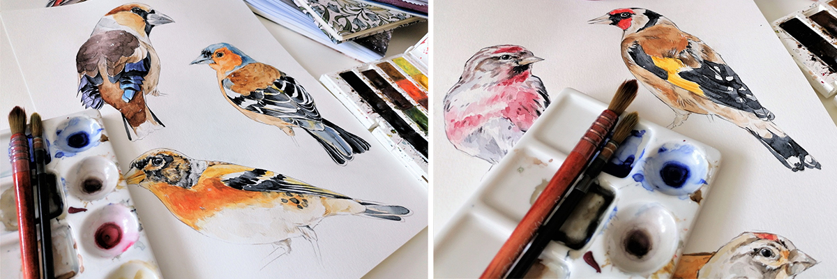 Oiseaux à l'aquarelle de Martina Bulková pour Pixabay