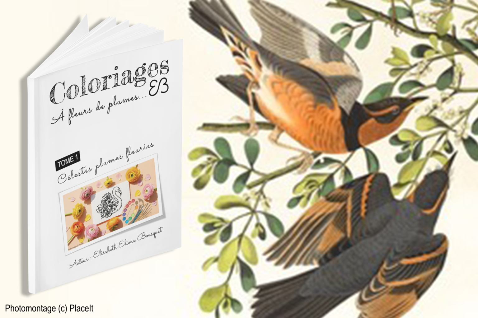 Visuel 4 présentant l'album de coloriages Célestes plumes fleuries d'Eliora Bousquet