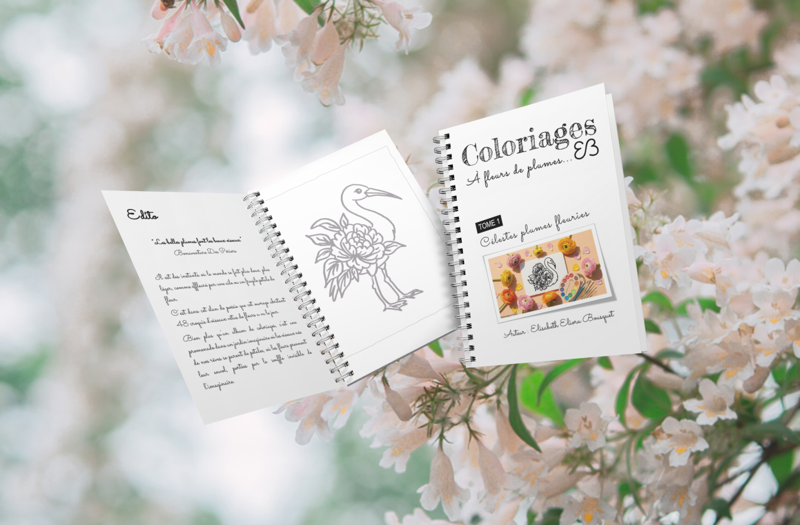 Visuel 3 présentant l'album de coloriages Célestes plumes fleuries d'Eliora Bousquet