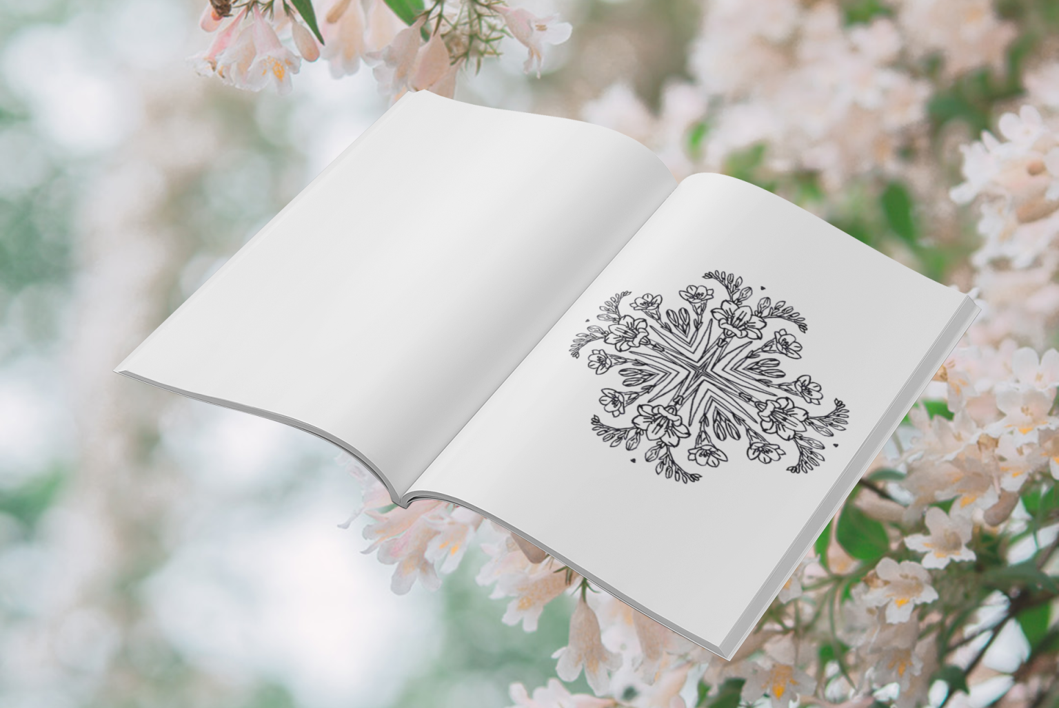 Visuel présentant l'album de coloriages Fleurs cardinales d'Eliora Bousquet - PI (8) Visuel présentant l'album de coloriages Fleurs cardinales d'Eliora Bousquet - PI (8)