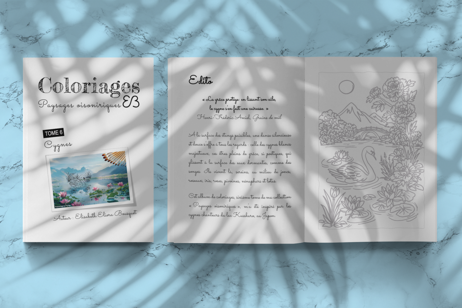 Visuel présentant l'album de coloriages Paysages oisoniriques 6 d'Eliora Bousquet - PI  (1)