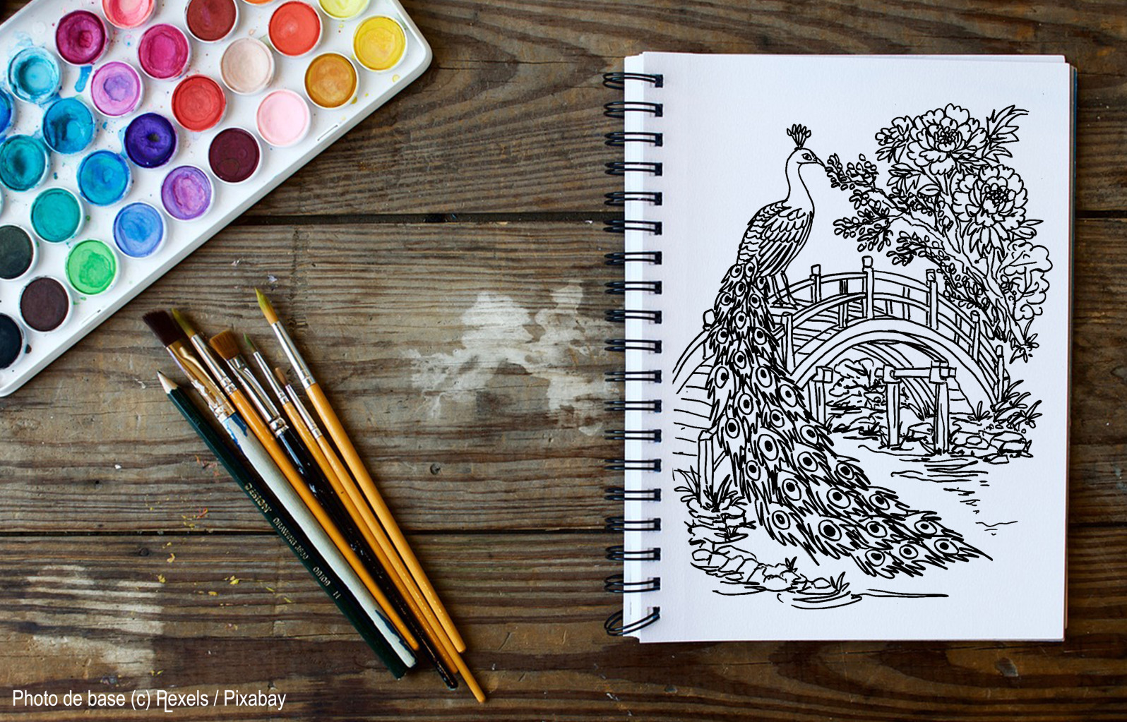 Visuel présentant l'album de coloriages Paysages oisoniriques 7 d'Eliora Bousquet - PI  (3)