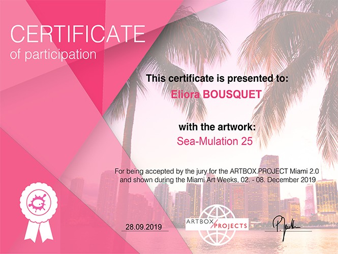 Artbox Project Miami 2.0 Eliora Bousquet Certificat