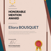 Honorable Mention Award - Circle Foundation For The Arts 2018 - Eliora Bousquet