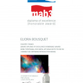 Diplôme d'excellence - MAB3 2012 - Eliora Bousquet