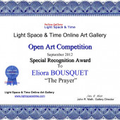 Special Recognition Award - Open Art Competition 2012 - Eliora Bousquet