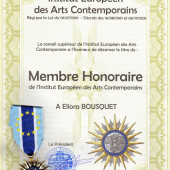 Membre honoraire - Institut Européen des Arts Contemporains 2014 - Eliora Bousquet
