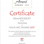 Nomination - Palm Art Award 2017 - Eliora Bousquet