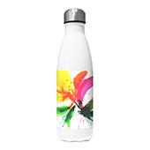 Bouteilles Thermos
