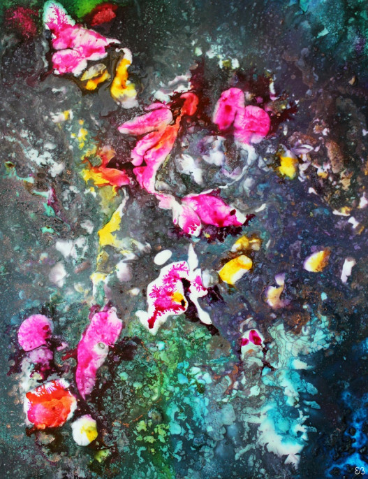 Peinture d'Eliora Bousquet - Quintessence 184